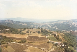 CiamarraAlfredo (7).jpg